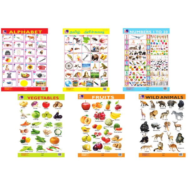 Charts - Educational Hanging Charts - Set Of 6 (Tamil)